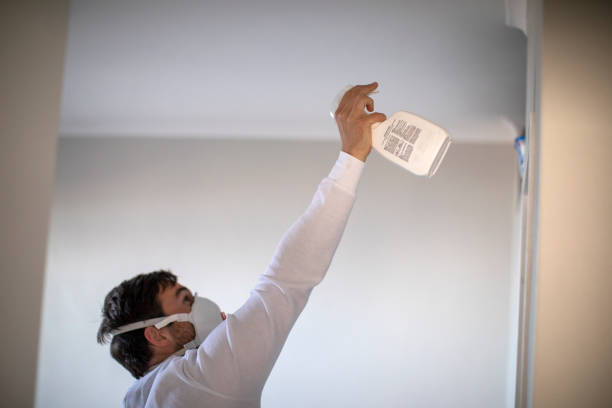 Mold Removal Process in Hawkinsville, GA