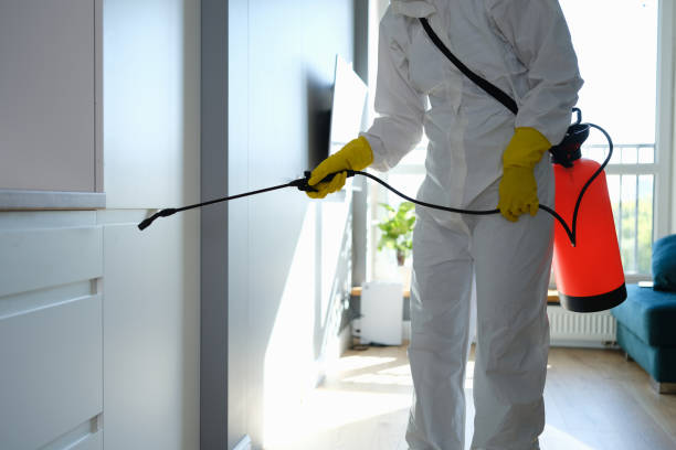 Best Toxic Mold Removal  in Hawkinsville, GA