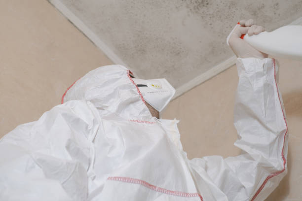 Best Residential Mold Removal  in Hawkinsville, GA